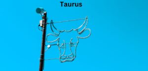 taurus